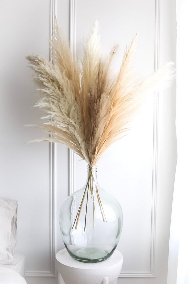 PAMPAS GRASS SIZE LARGE COLOUR NATURAL PAMPAS PROMO MIXTURE OF 7 STEMS