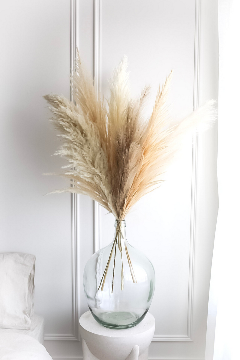PAMPAS GRASS SIZE LARGE COLOUR NATURAL PAMPAS PROMO MIXTURE OF 7 STEMS