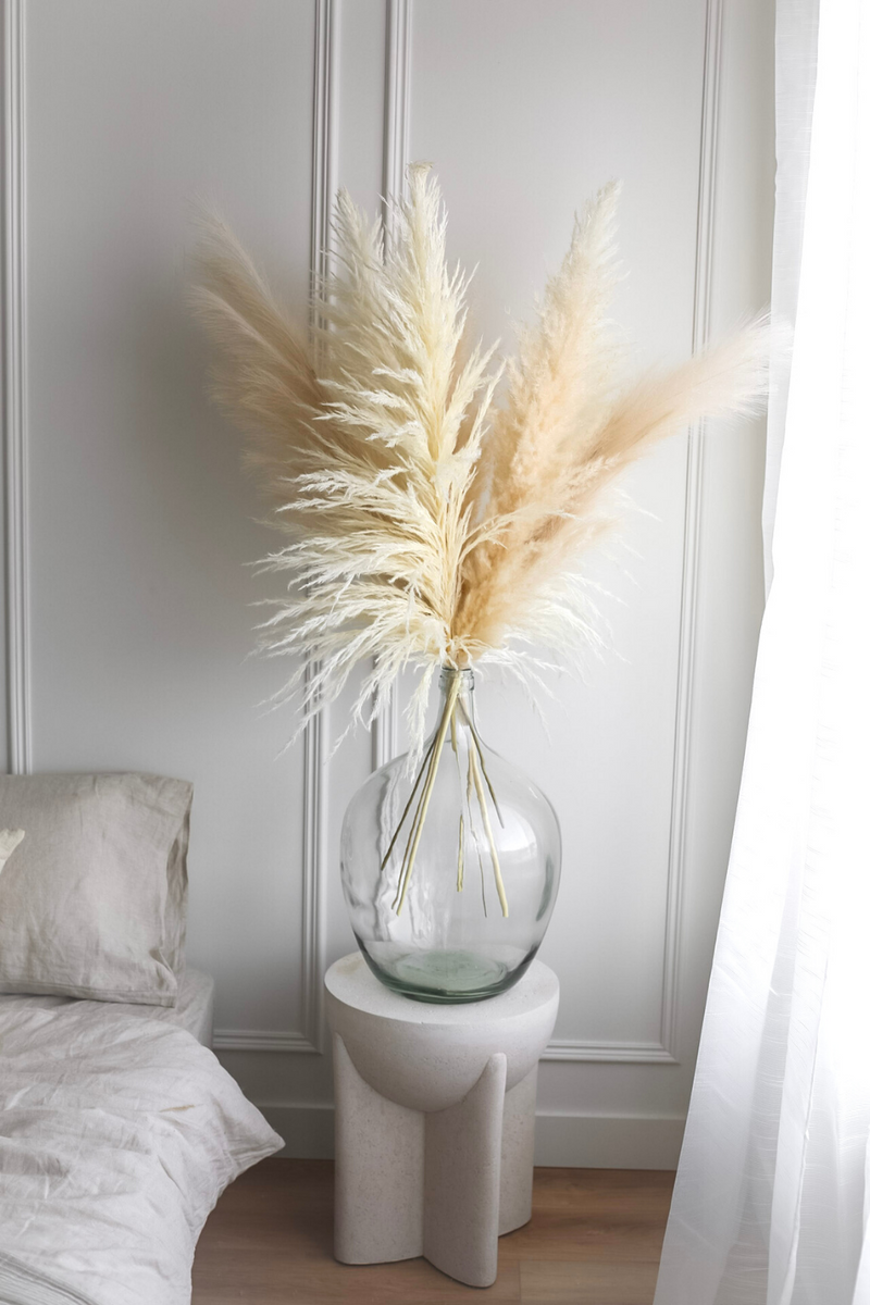 PAMPAS GRASS SIZE LARGE COLOUR BLEACH WHITE PAMPAS PROMO PACK MIXTURE OF 7 STEMS