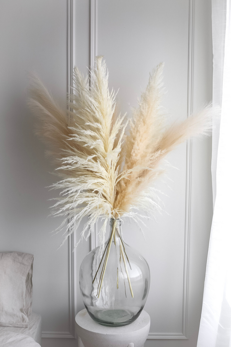 PAMPAS GRASS SIZE LARGE COLOUR BLEACH WHITE PAMPAS PROMO PACK MIXTURE OF 7 STEMS