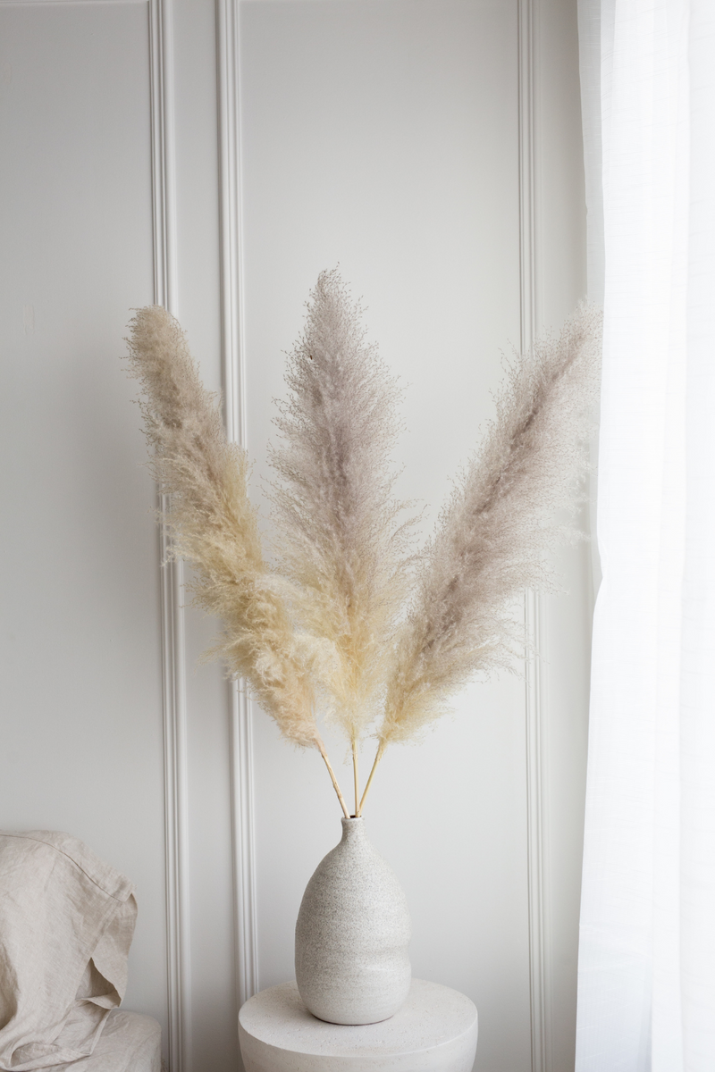 PAMPAS GRASS SIZE LARGE COLOUR NATURAL TYPE 1