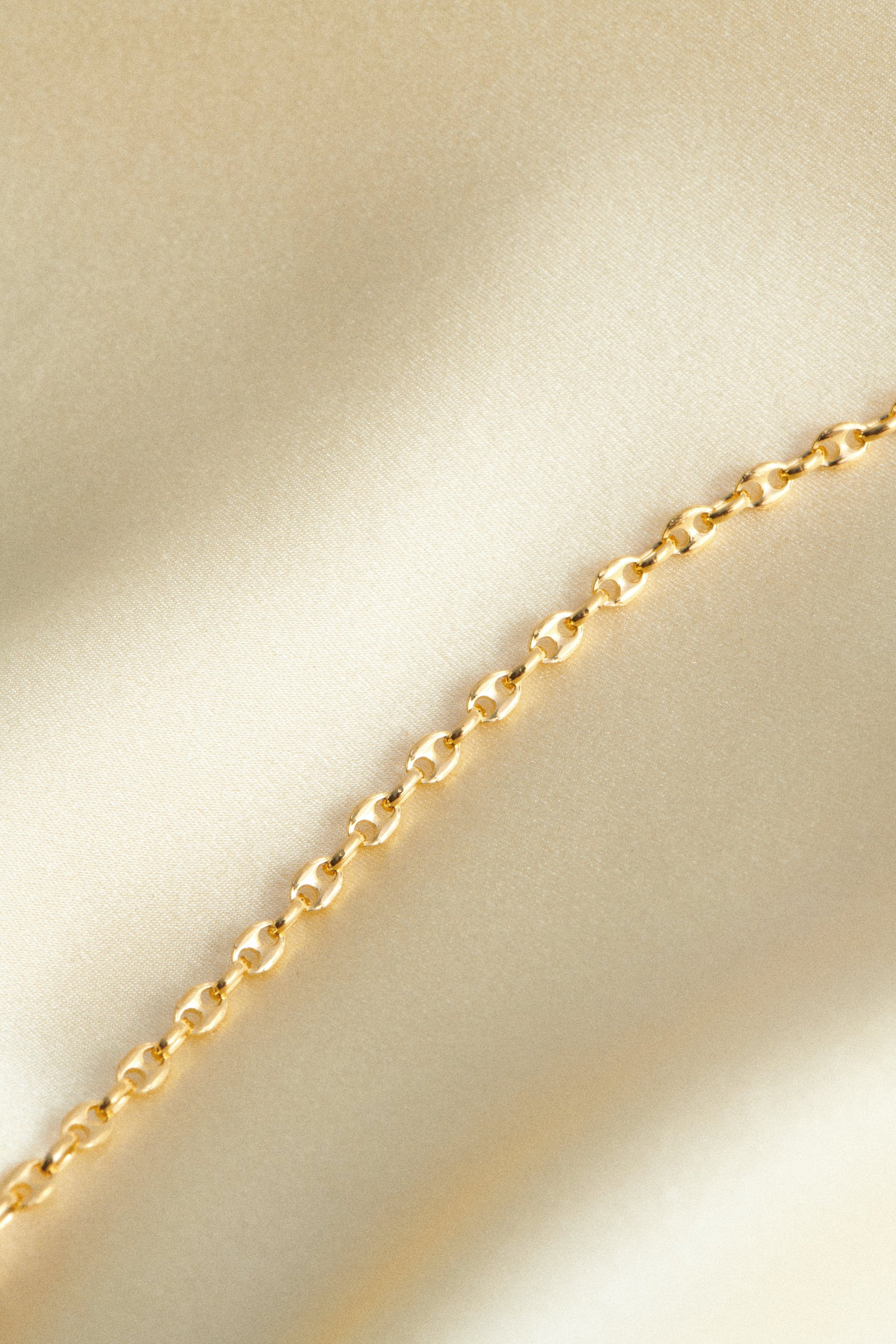 18K GOLD ESSENTIAL CHAIN