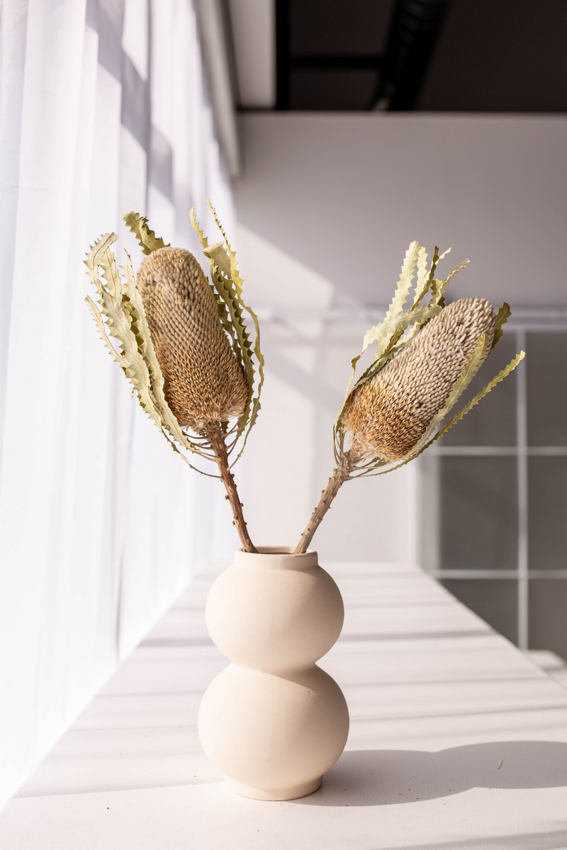 NATURAL WHITE DRIED BANKSIA (2 STEM) LRG.