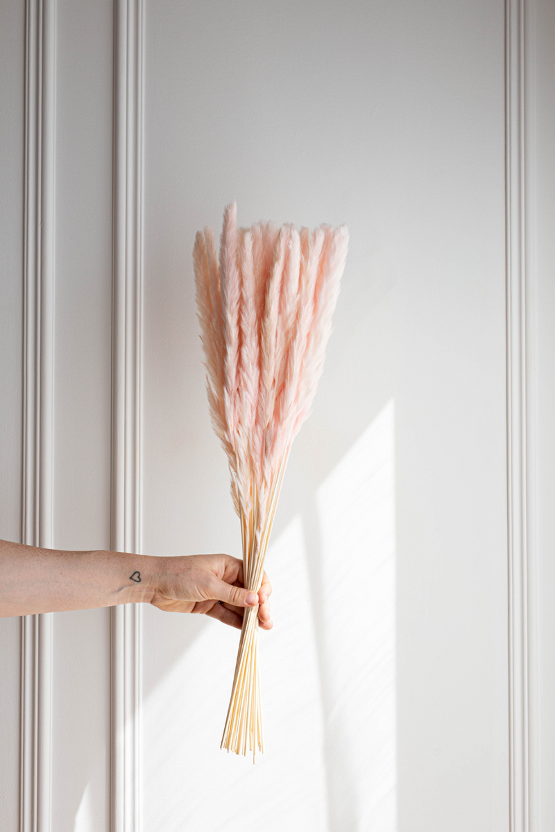 PAMPAS GRASS SIZE SMALL COLOUR SOFT PINK TYPE 5