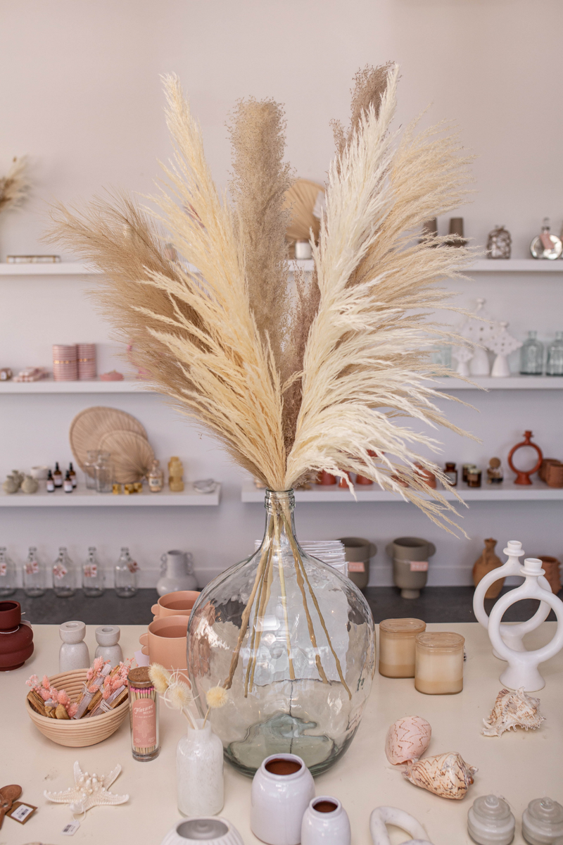 PAMPAS GRASS SIZE LARGE COLOUR NATURAL PAMPAS PROMO MIXTURE OF 7 STEMS