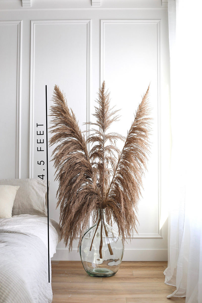 PAMPAS GRASS SIZE TALL COLOUR NATURAL BROWN GRAY UNDERTONES UVA STALK TYPE 8
