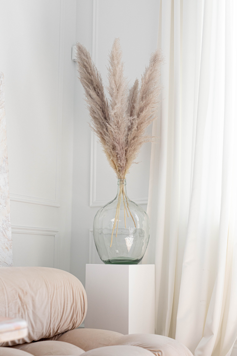 PAMPAS GRASS SIZE LARGE COLOUR NATURAL TYPE 1