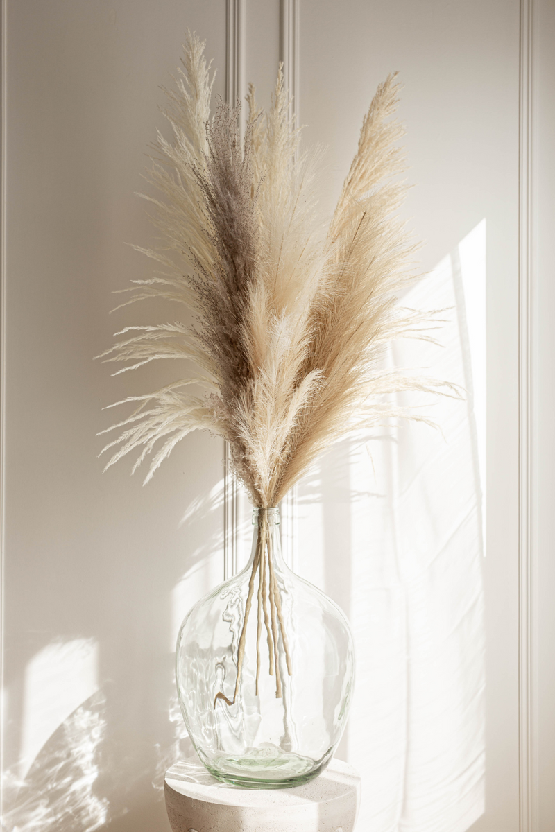 PAMPAS GRASS SIZE LARGE COLOUR NATURAL PAMPAS PROMO MIXTURE OF 7 STEMS