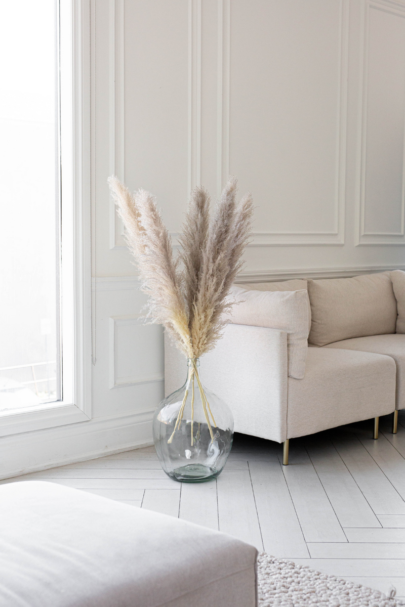 PAMPAS GRASS SIZE LARGE COLOUR NATURAL TYPE 1