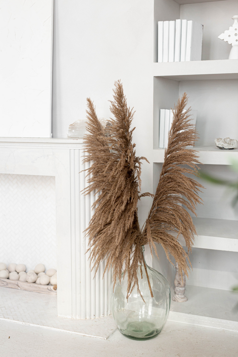 PAMPAS GRASS SIZE TALL COLOUR NATURAL BROWN GRAY UNDERTONES UVA STALK TYPE 8