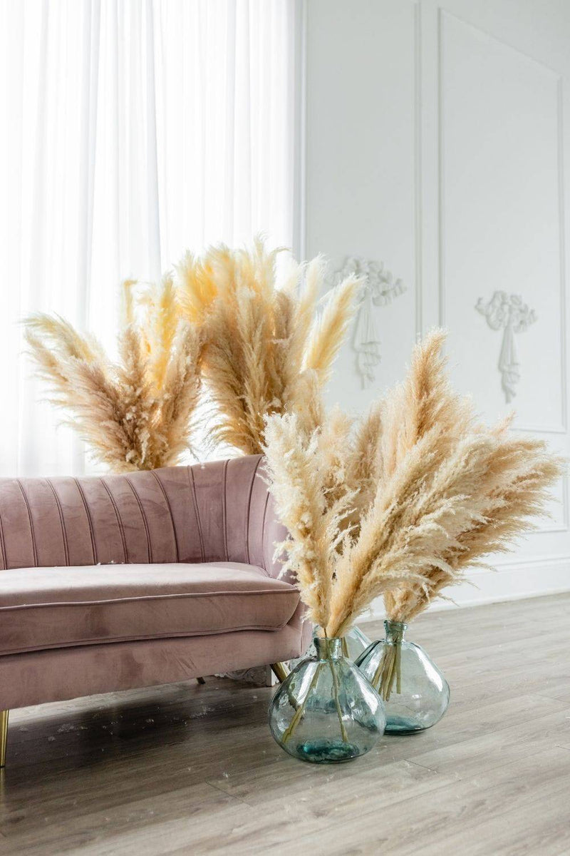 PAMPAS GRASS SIZE LARGE COLOUR NATURAL TYPE 6
