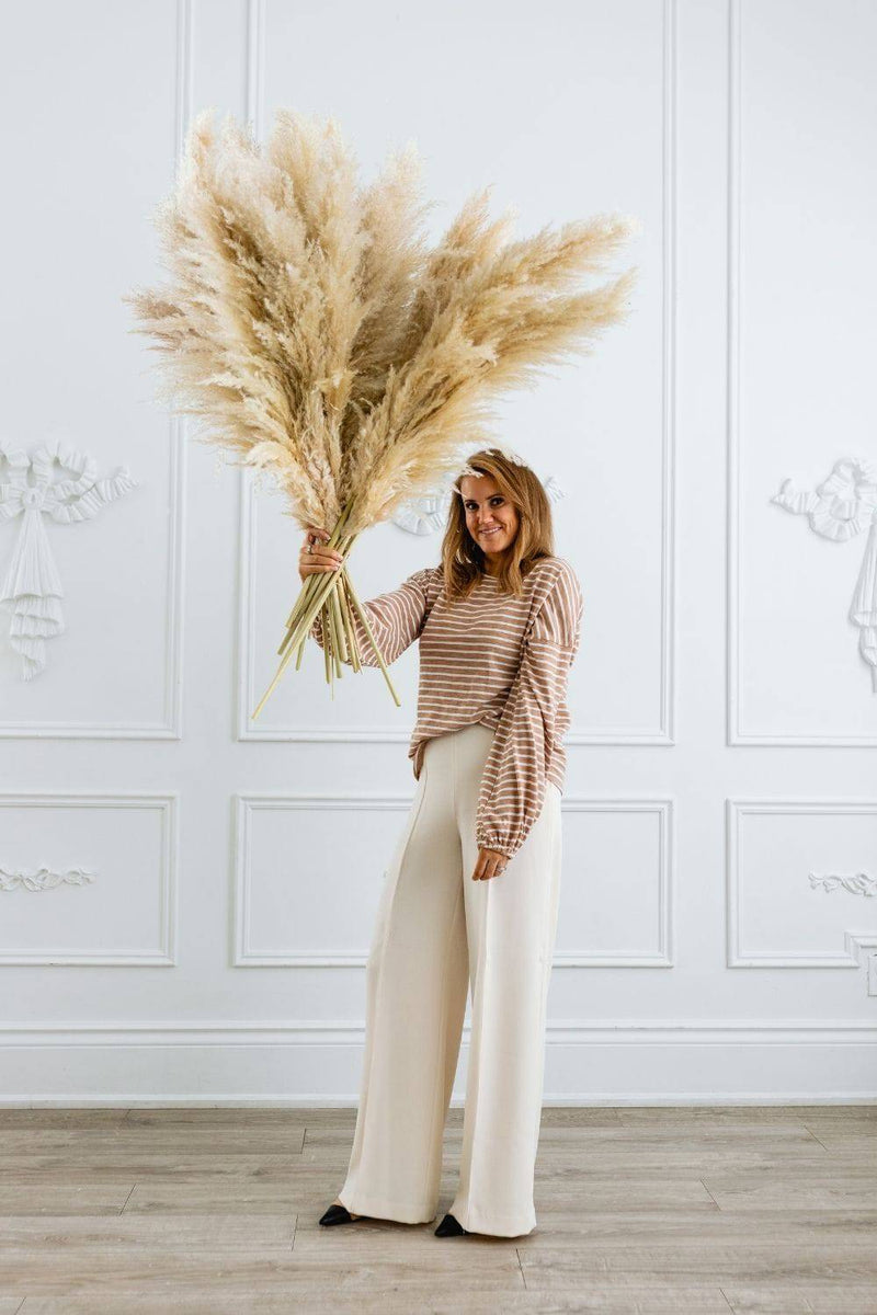 PAMPAS GRASS SIZE LARGE COLOUR NATURAL TYPE 6