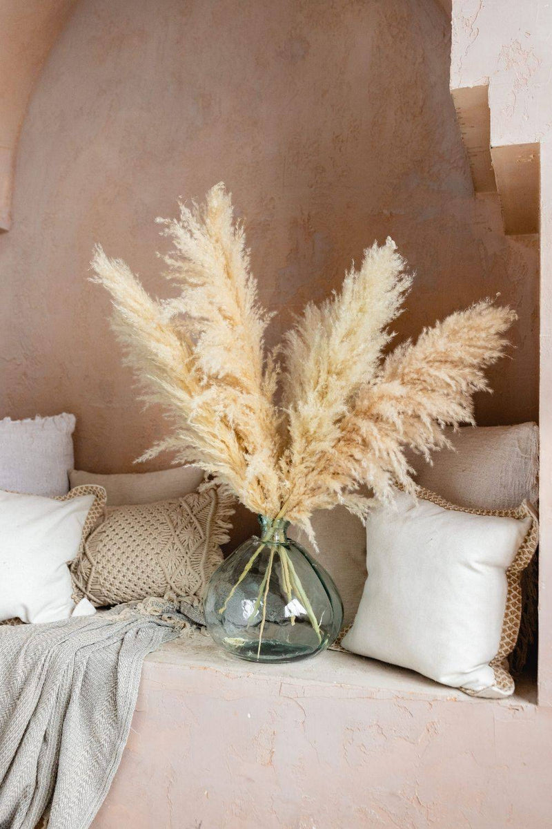 PAMPAS GRASS SIZE LARGE COLOUR NATURAL TYPE 6