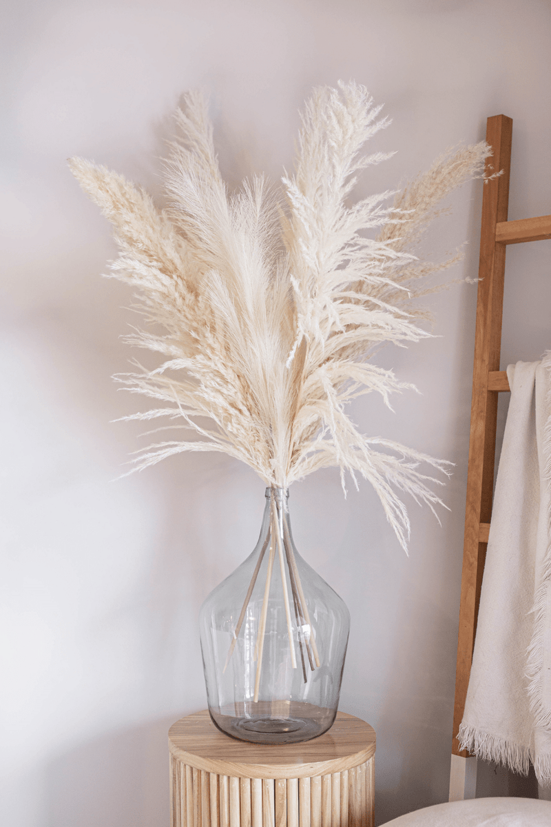 PAMPAS GRASS SIZE LARGE COLOUR BLEACH WHITE PAMPAS PROMO PACK MIXTURE OF 7 STEMS