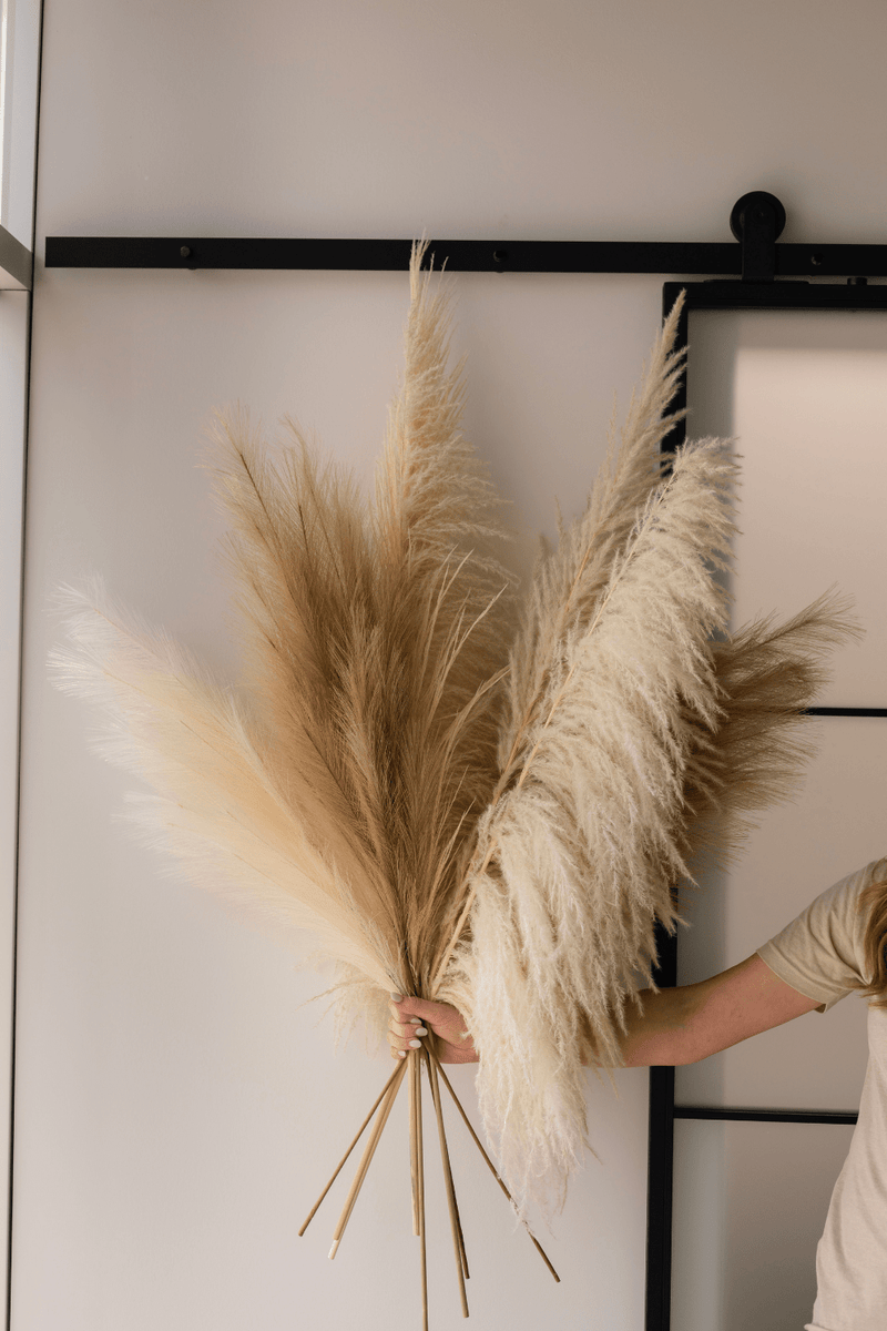PAMPAS GRASS SIZE LARGE COLOUR NATURAL PAMPAS PROMO MIXTURE OF 7 STEMS
