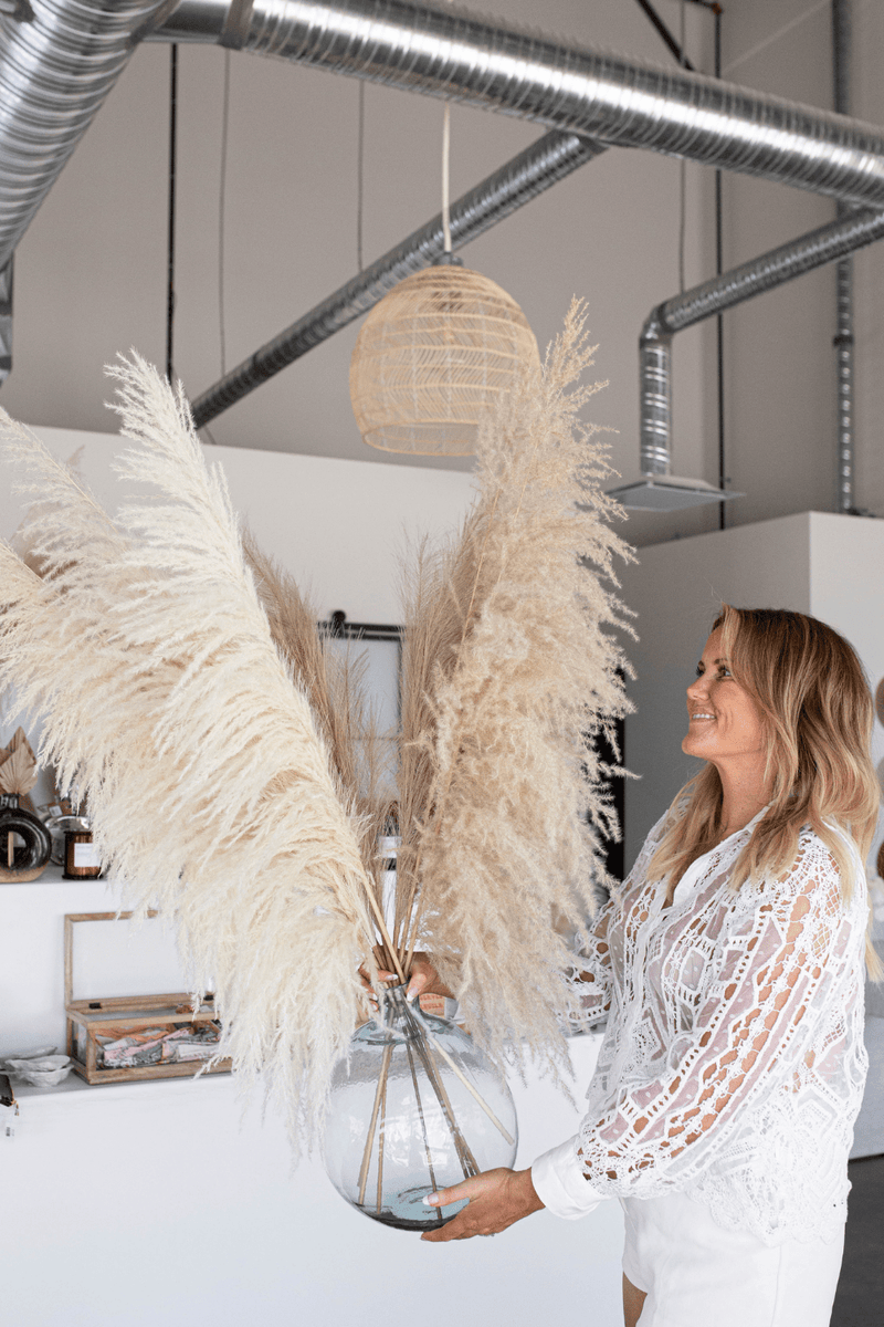 PAMPAS GRASS SIZE LARGE COLOUR NATURAL PAMPAS PROMO MIXTURE OF 7 STEMS