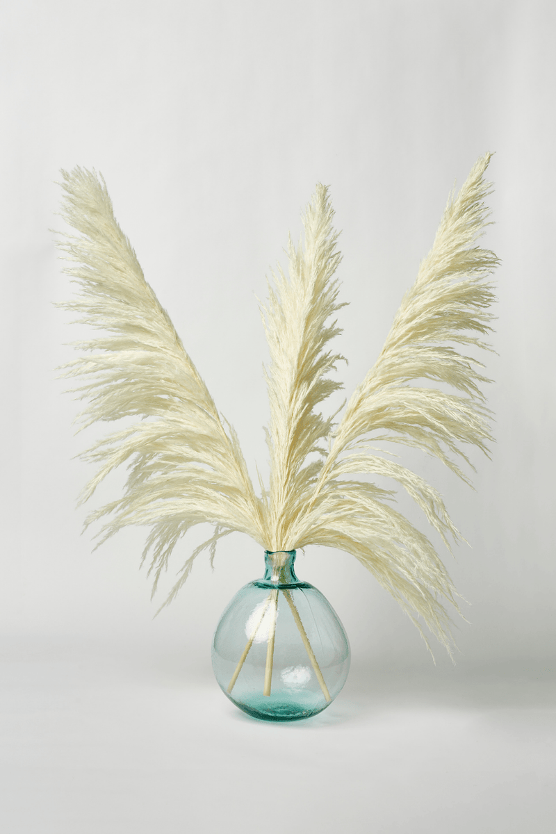 PAMPAS GRASS SIZE LARGE COLOUR BLEACH WHITE TYPE 8