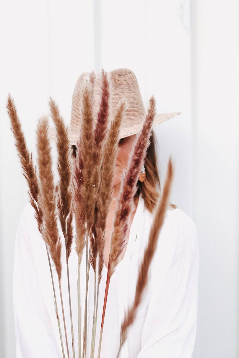 PAMPAS GRASS SIZE SMALL COLOUR NATURAL TYPE 5