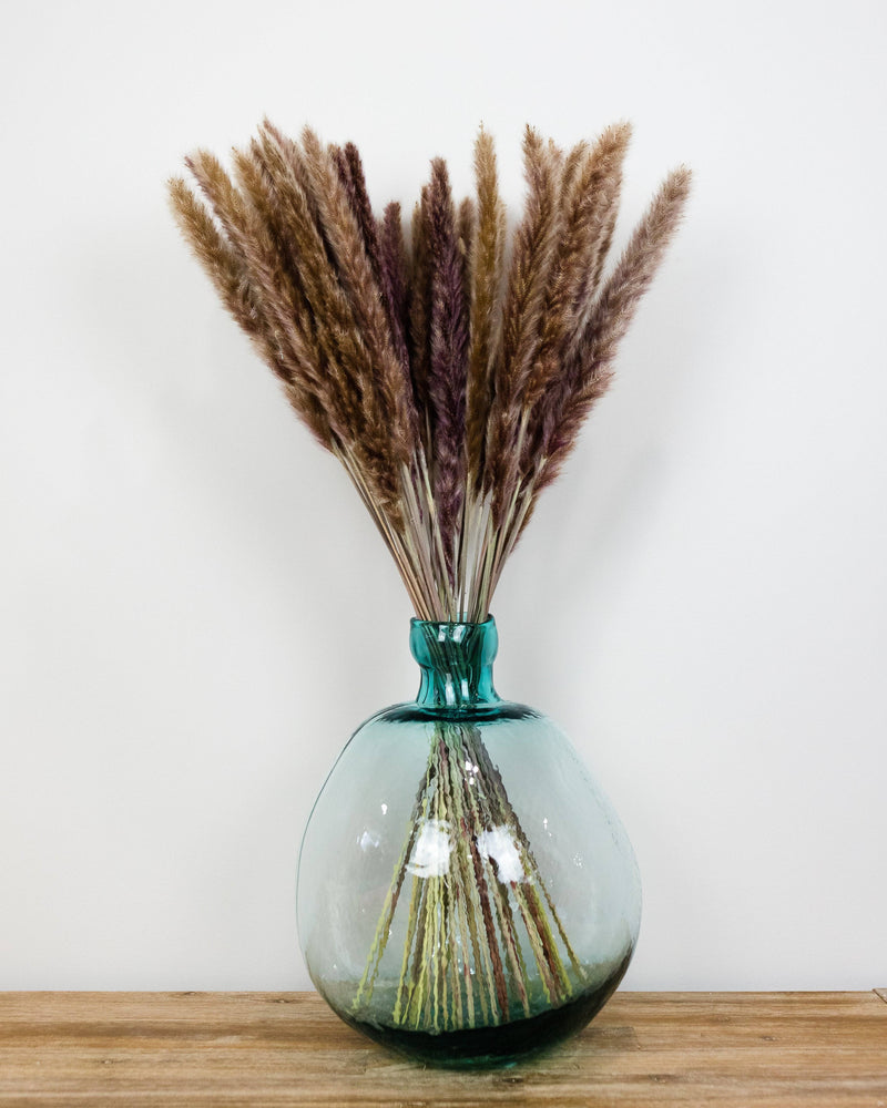 PAMPAS GRASS SIZE SMALL COLOUR NATURAL TYPE 5