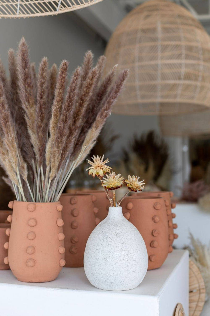 PAMPAS GRASS SIZE SMALL COLOUR NATURAL TYPE 5