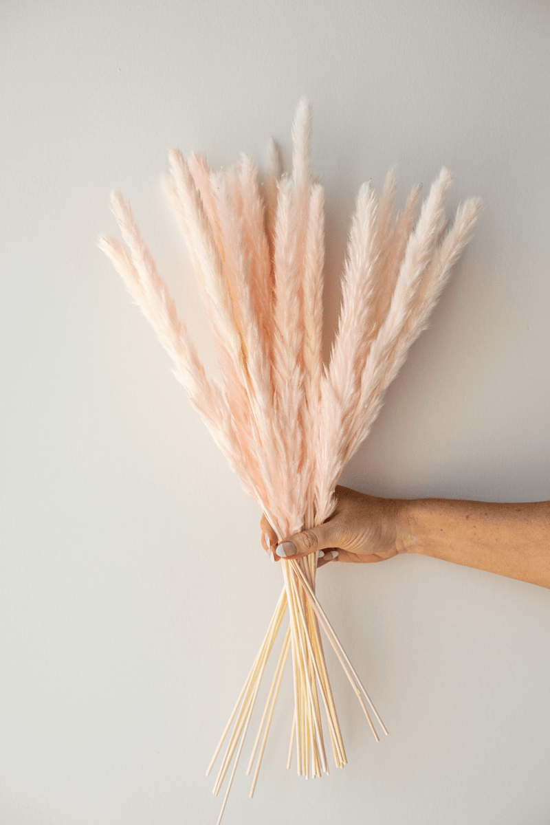 PAMPAS GRASS SIZE SMALL COLOUR SOFT PINK TYPE 5