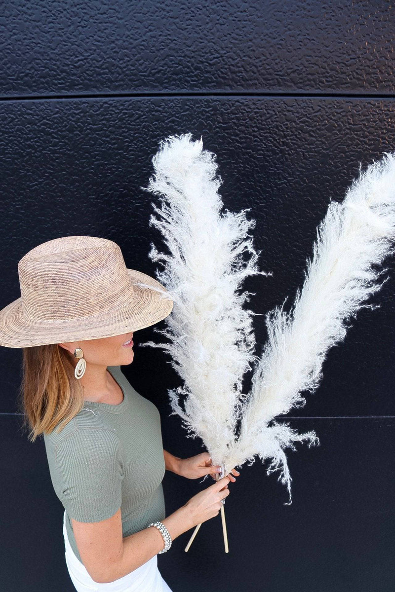 PAMPAS GRASS SIZE LARGE COLOUR CREAM TYPE 1