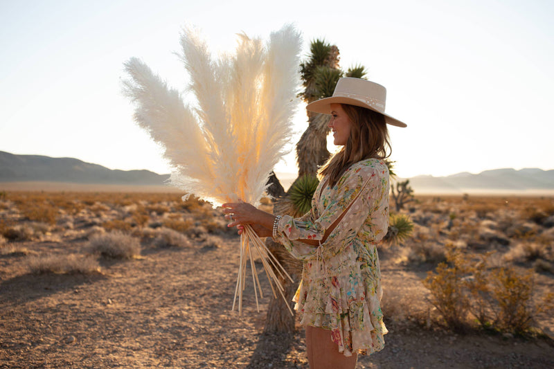 PAMPAS GRASS SIZE LARGE COLOUR CREAM TYPE 1