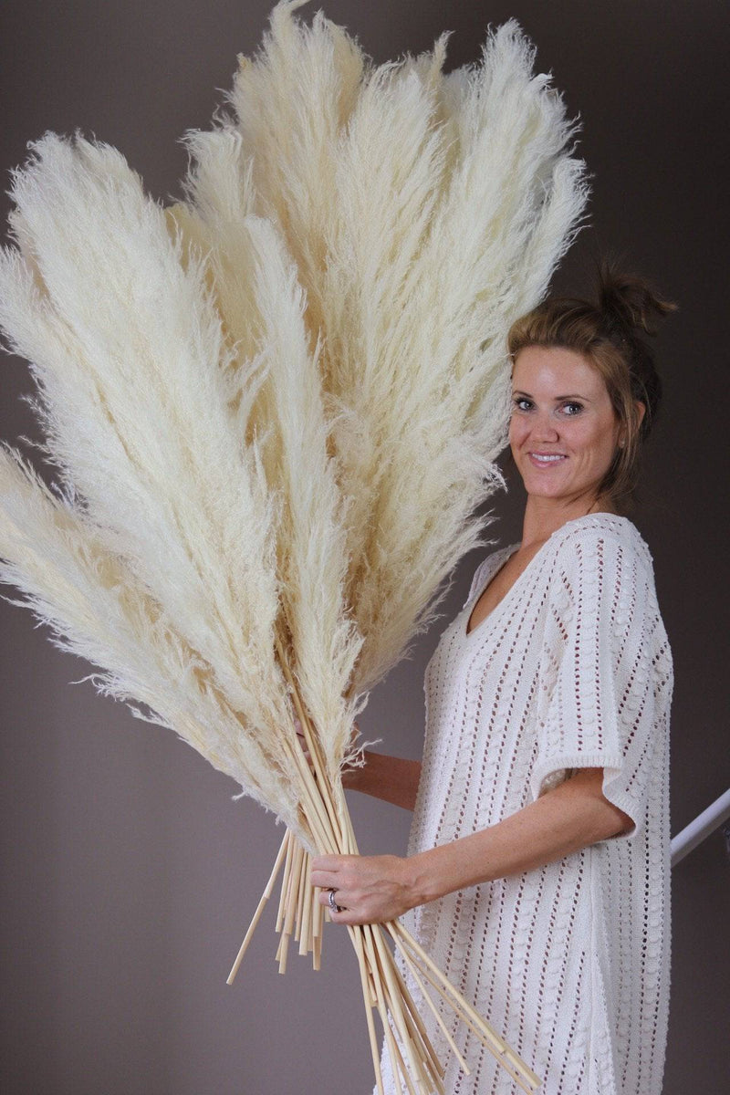 PAMPAS GRASS SIZE LARGE COLOUR CREAM TYPE 1