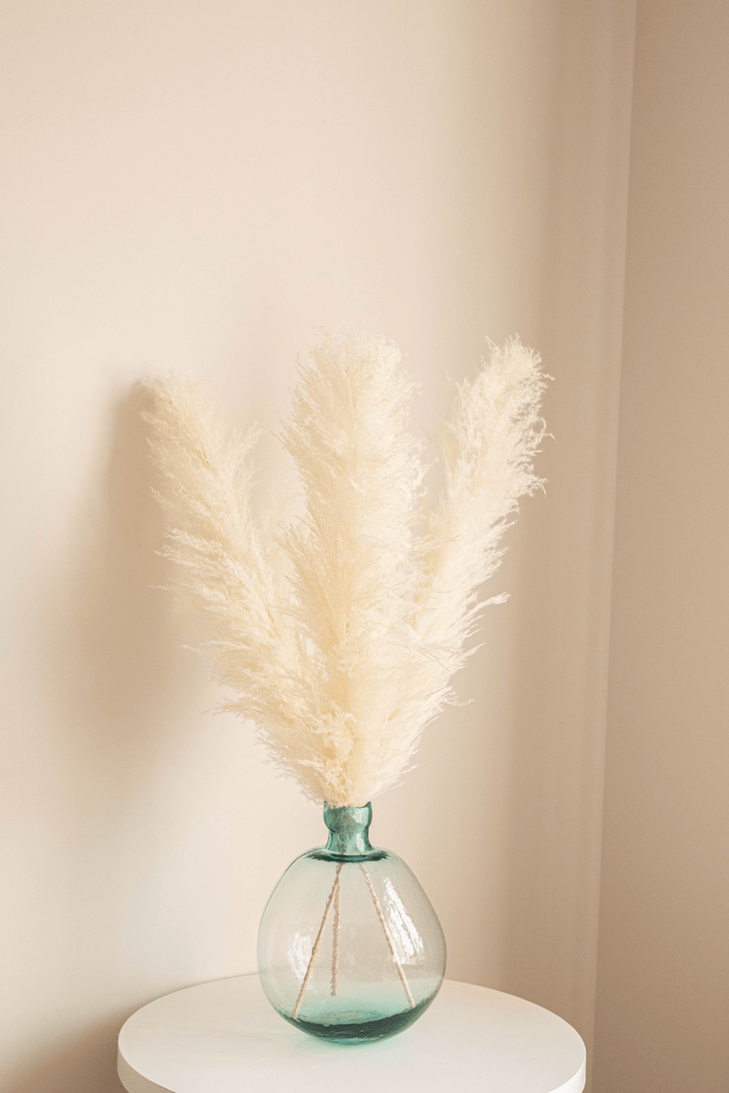 PAMPAS GRASS SIZE LARGE COLOUR CREAM TYPE 1