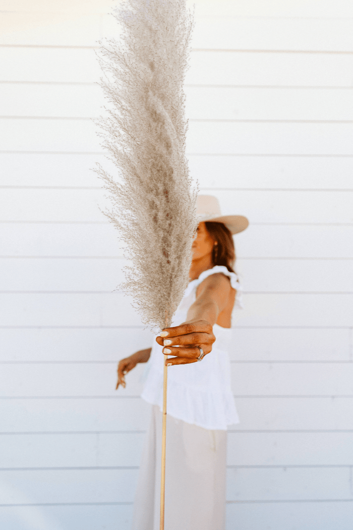 PAMPAS GRASS SIZE LARGE COLOUR NATURAL TYPE 1