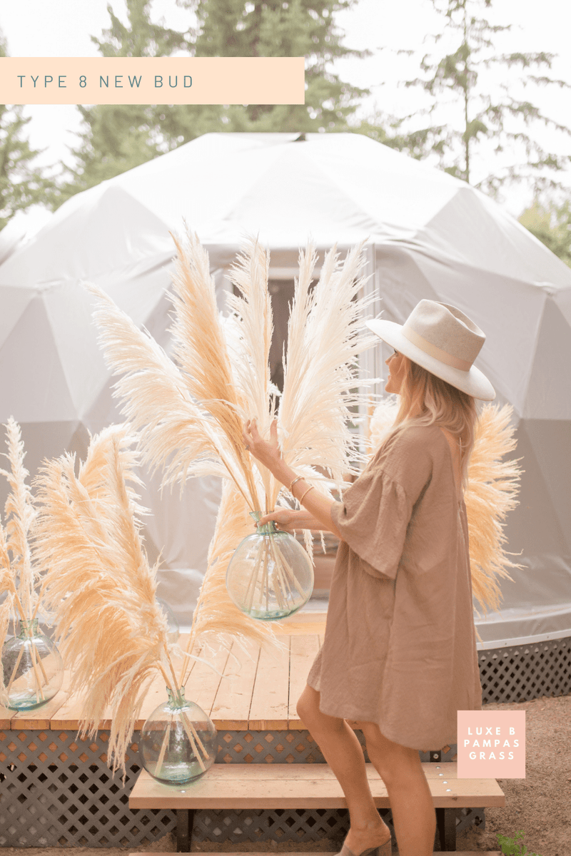 PAMPAS GRASS SIZE LARGE COLOUR BLEACH WHITE TYPE 8
