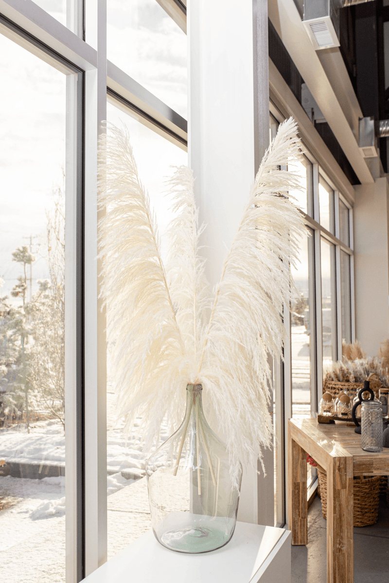 PAMPAS GRASS SIZE LARGE COLOUR BLEACH WHITE TYPE 8